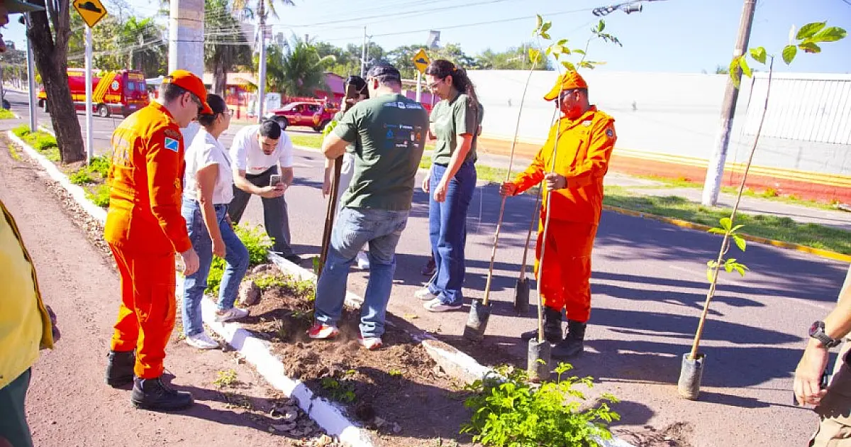 Corumbá aposta na arborização urbana para frear mudanças climáticas