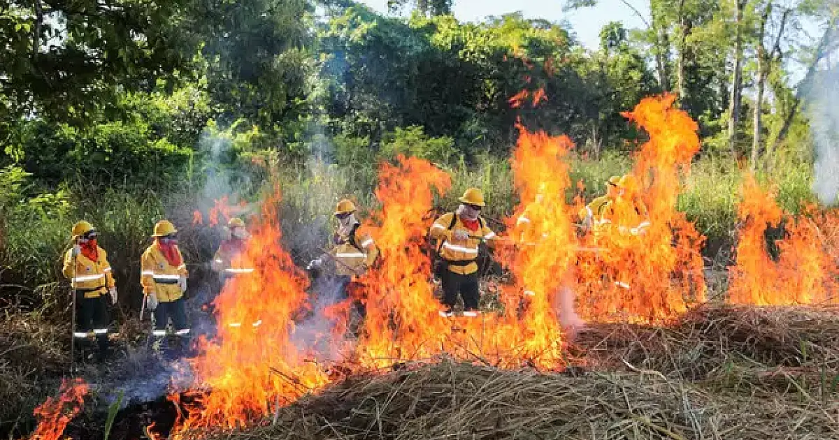 Brigadas do Pantanal recebem treinamento para uso do fogo controlado