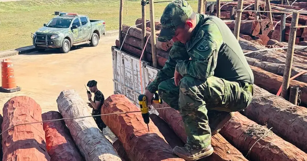 Documento da polícia boliviana reforça que não há cocaína em carga apreendida em Corumbá