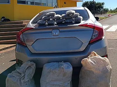 PRF intercepta mais de 1,4 tonelada de drogas em operações no interior de MS