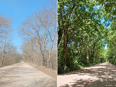 Estudo projeta aquecimento severo e colapso no ciclo de cheias do Pantanal até 2070