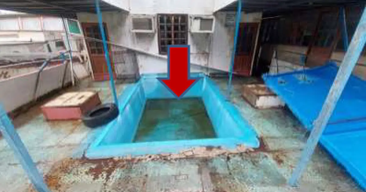 Após flagrante de risco à saúde, Justiça ordena remoção de barcos abandonados em Corumbá