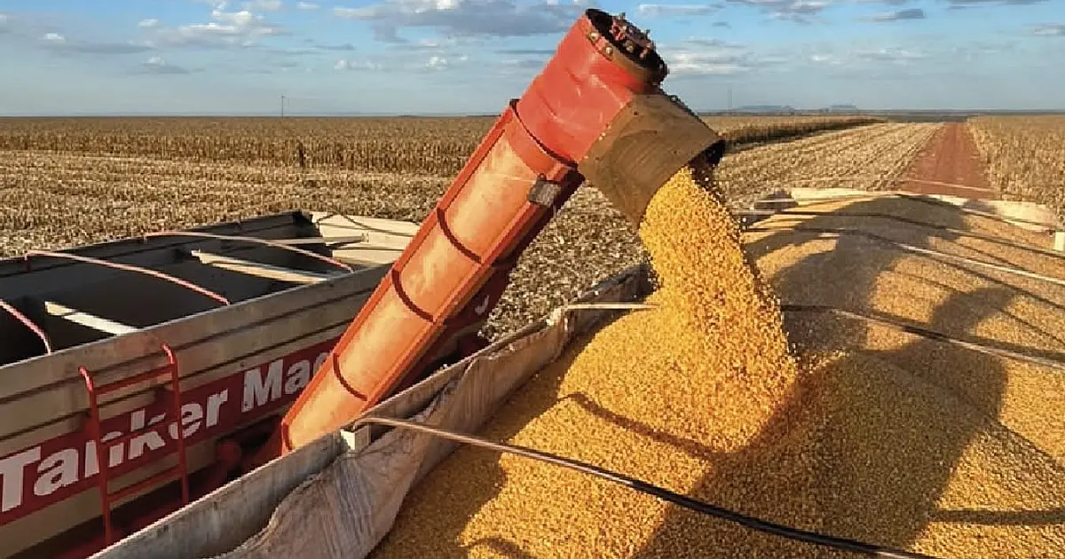 Melhorias na logística podem beneficiar produtores rurais de MS