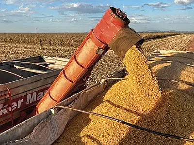 Melhorias na logística podem beneficiar produtores rurais de MS