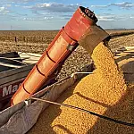 Melhorias na logística podem beneficiar produtores rurais de MS