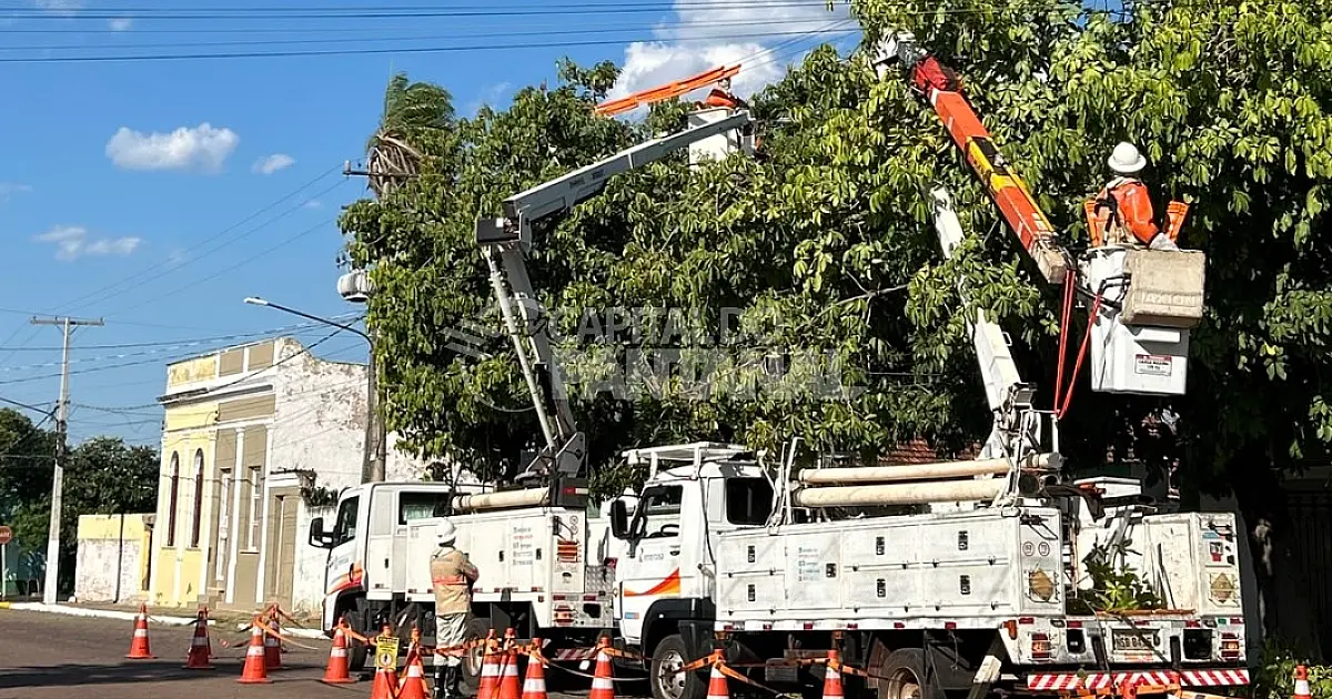 Ação conjunta demonstra manejo seguro de árvores próximas à rede elétrica