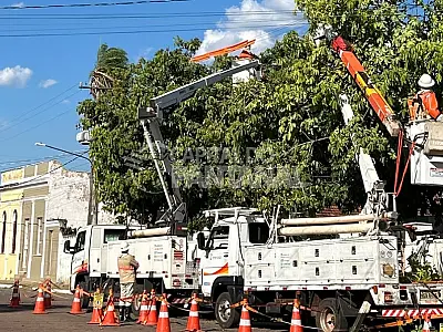 Ação conjunta orienta poda segura de árvores próximas à rede elétrica