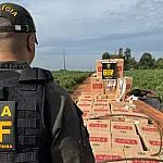 DOF causa prejuízo de R$ 320 milhões ao crime no 1º semestre de 2026