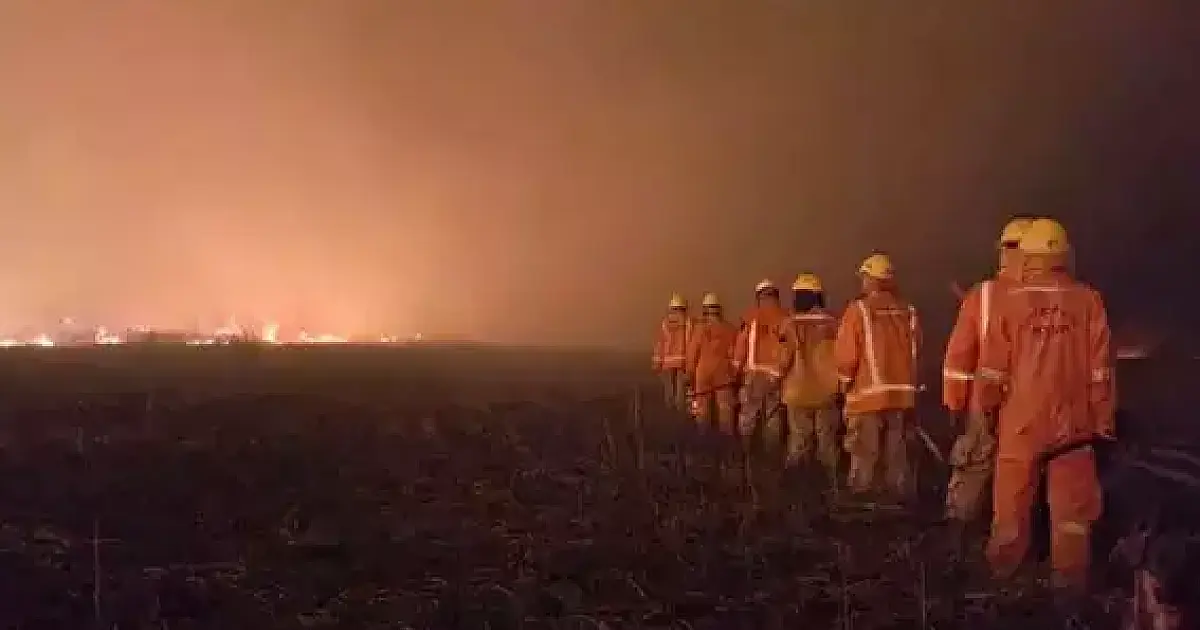 Incêndio no Pantanal já consumiu 3,7 mil hectares na Bolívia