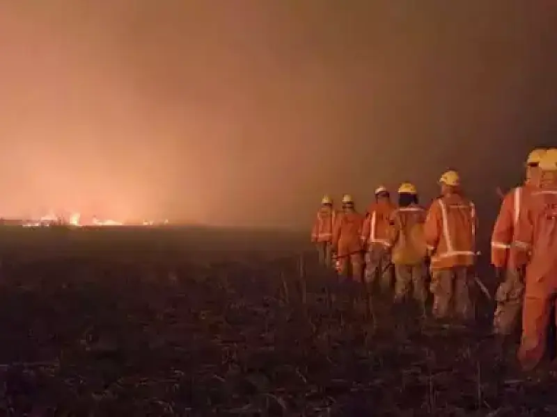 Incêndio no Pantanal já consumiu 3,7 mil hectares na Bolívia
