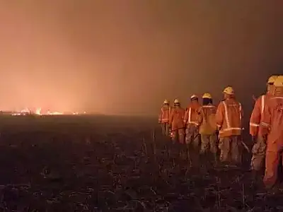 Incêndio no Pantanal já consumiu 3,7 mil hectares na Bolívia