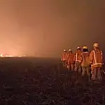 Incêndio no Pantanal já consumiu 3,7 mil hectares na Bolívia