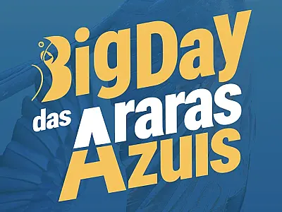 Araras-azuis serão contadas em ação internacional