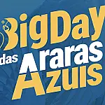 Araras-azuis serão contadas em ação internacional