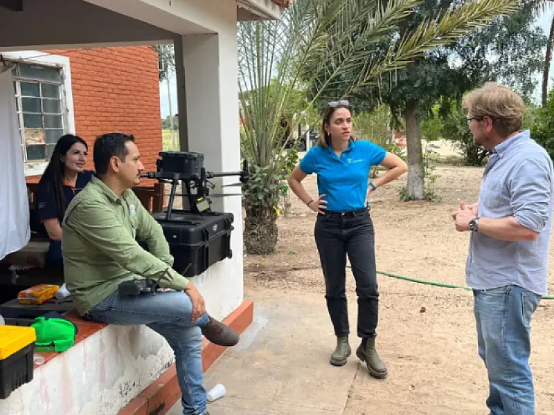 Pecuária sustentável do Pantanal vira alvo de estudo de instituto alemão em Corumbá