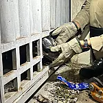 Bombeiros cortam portão para salvar cão em Corumbá