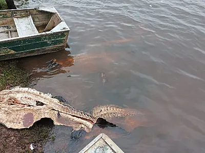 Civil desarticula quadrilha que impunha medo e destruía o Pantanal