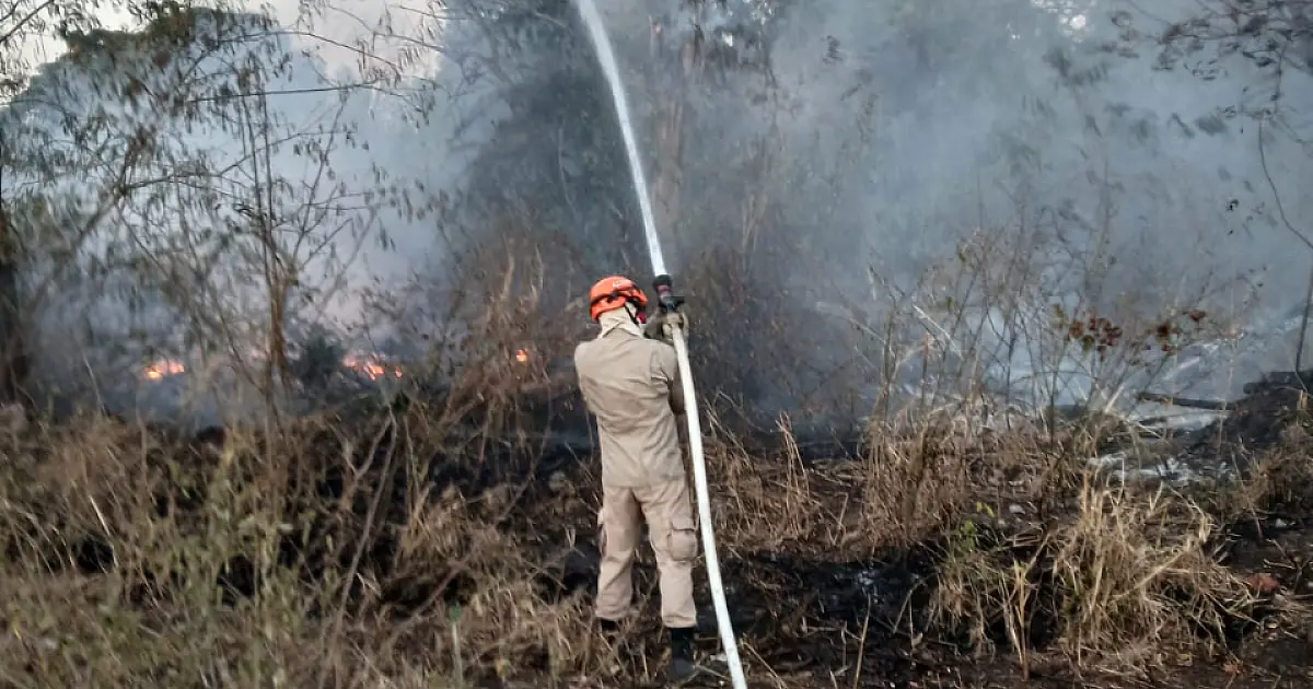 Corumbá e Ladário registram oito incêndios em vegetação em apenas 24 horas