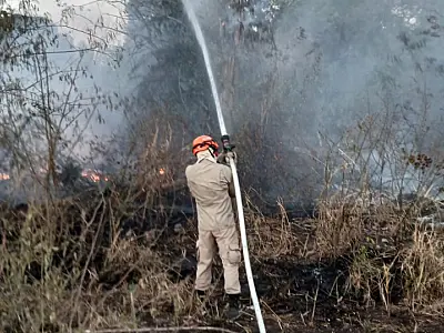 Corumbá e Ladário registram oito incêndios em vegetação em apenas 24 horas