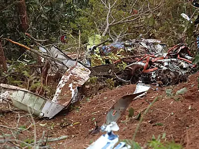 Queda de avião em Campo Grande deixa piloto e pesquisadora alemã mortos a caminho do Pantanal
