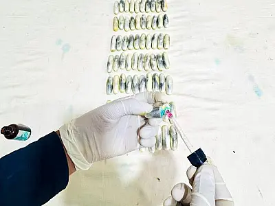 Barreira na fronteira flagra cinco passageiros com 349 cápsulas de cocaína no estômago