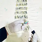 Barreira na fronteira flagra cinco passageiros com 349 cápsulas de cocaína no estômago