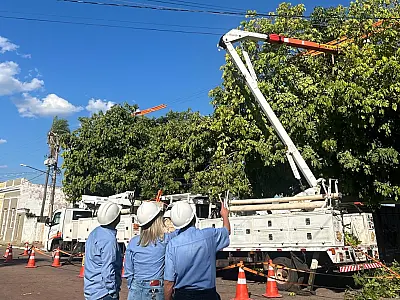 Corumbá vai discutir plano para plantio e cuidado de árvores