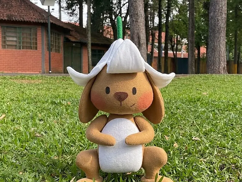 Autora de Corumbá lança livro infantil inspirado em tradição de família e no vínculo com a lua