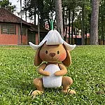 Autora de Corumbá lança livro infantil inspirado em tradição de família e no vínculo com a lua