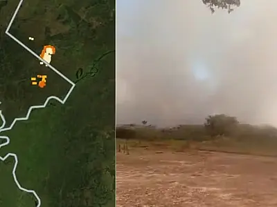 Ventos empurram incêndio do Pantanal de Corumbá para parque nacional na Bolívia