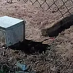 Resgate armado de presos expõe falha grave na segurança, alerta sindicato