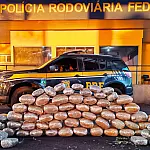 Passageira "desaparece" de ônibus que saiu de Corumbá e deixa 75 kg de Skunk no bagageiro