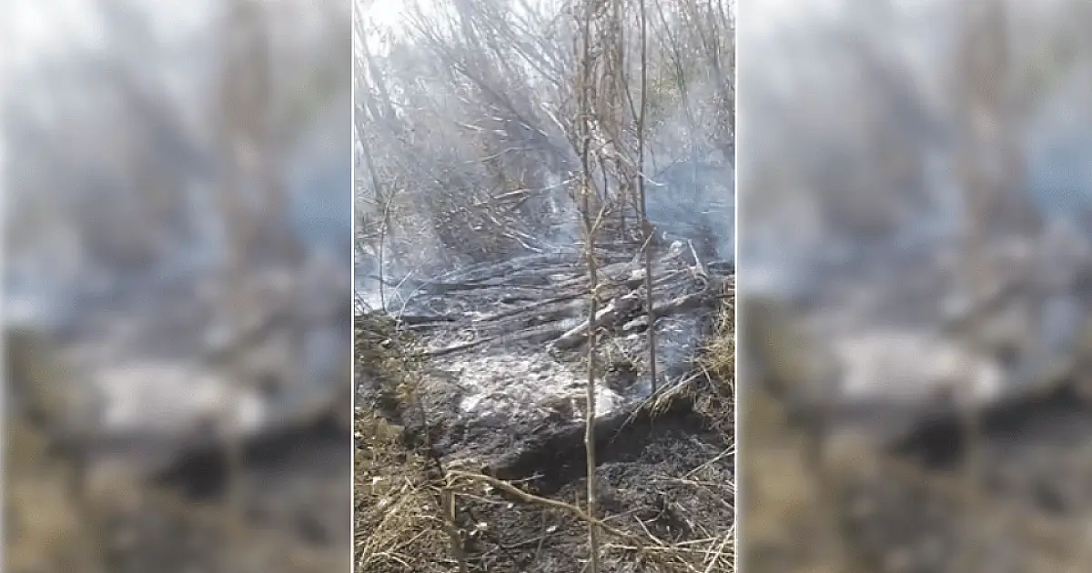 Corumbá e Ladário registram três incêndios em vegetação em 24 horas