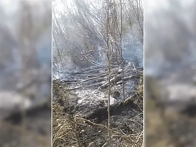 Corumbá e Ladário registram três incêndios em vegetação em 24 horas