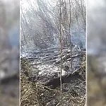 Corumbá e Ladário registram três incêndios em vegetação em 24 horas