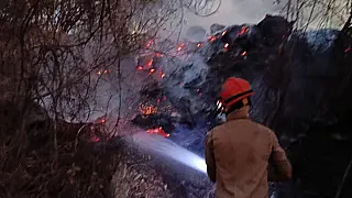 Bombeiros combatem incêndio em mata nas margens do Rio Paraguai