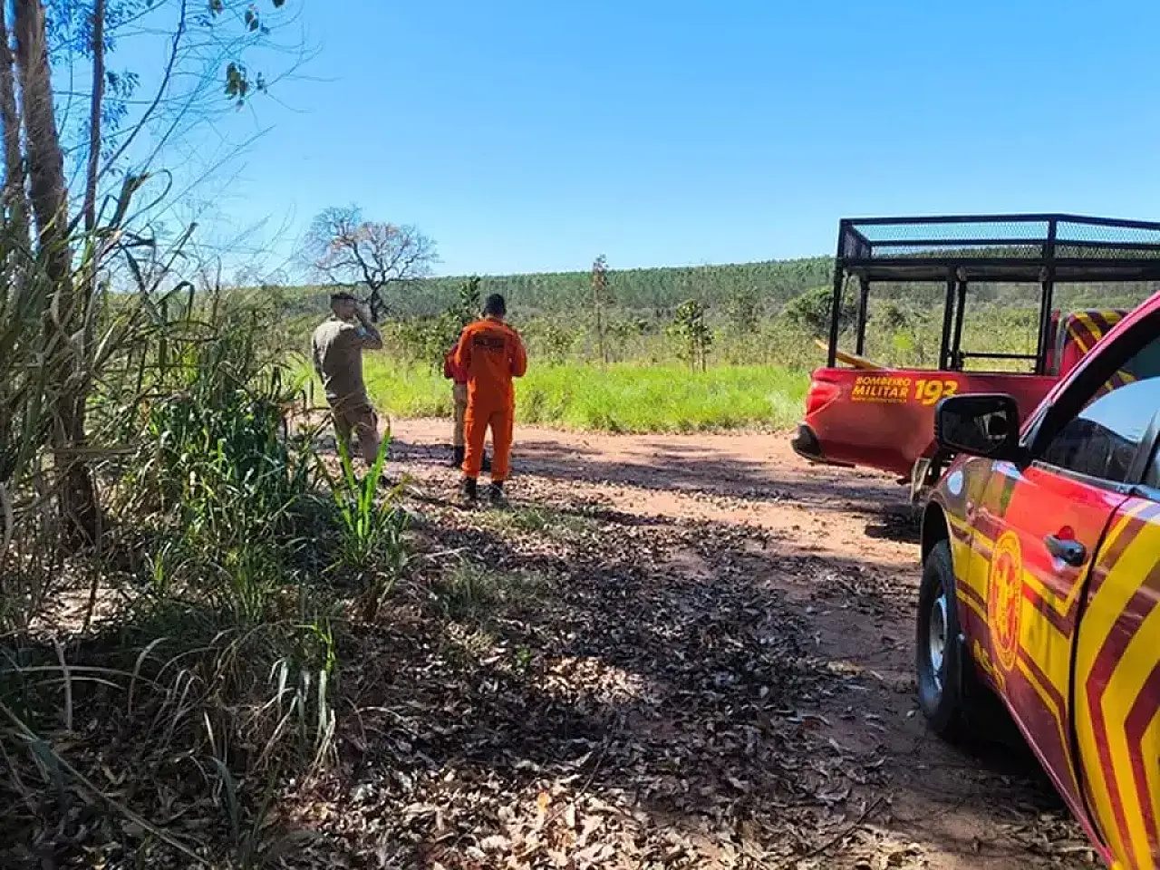 Homem de 47 anos desaparecido é encontrado morto em área de eucaliptos