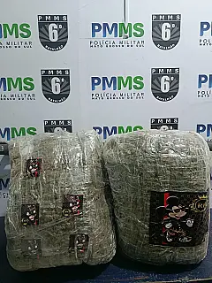 PM intercepta carregamento de skunk avaliado em R$ 155 mil na rodoviária de Corumbá