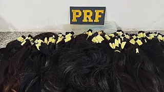 PRF intercepta descaminho de cabelo humano vindo da Bolívia na BR-262