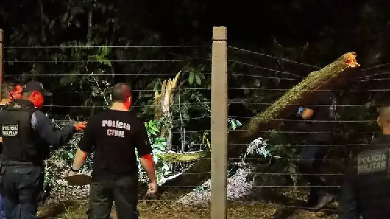 Tragédia no Parque dos Poderes acende alerta para segurança ambiental em todo o MS