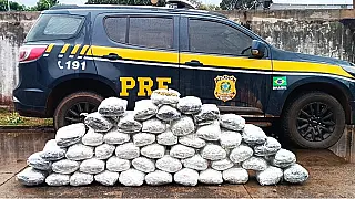 Motorista é preso em flagrante com mais de 50 kg de Skunk na BR 262