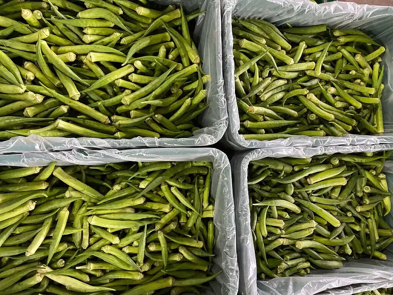 Quiabo dispara 20% e laranja Pera Rio cai 16% na CEASA/MS