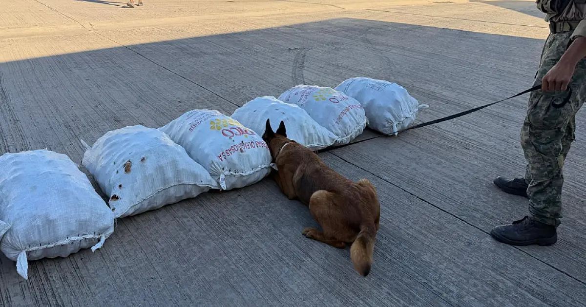 Operação intercepta skunk e contrabando em Corumbá