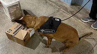 Operação conjunta apreende drogas em centro de distribuição em Corumbá