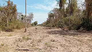 Ibama multa cinco fazendeiros de Corumbá em R$ 22,5 mi