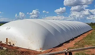 MS já tem projetos no mercado de carbono