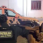Patrulha Maria da Penha prende homem por descumprir medida protetiva