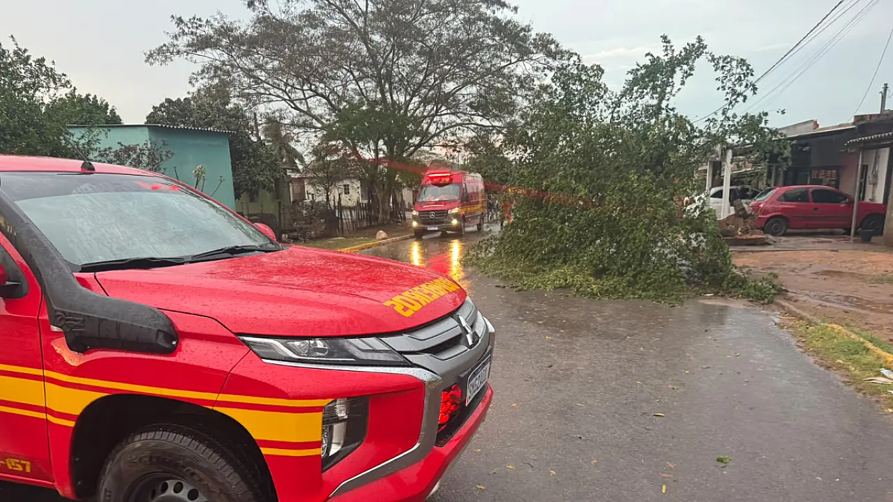 Balanço atualizado aponta 29 quedas de árvore e resgate no Rio Paraguai