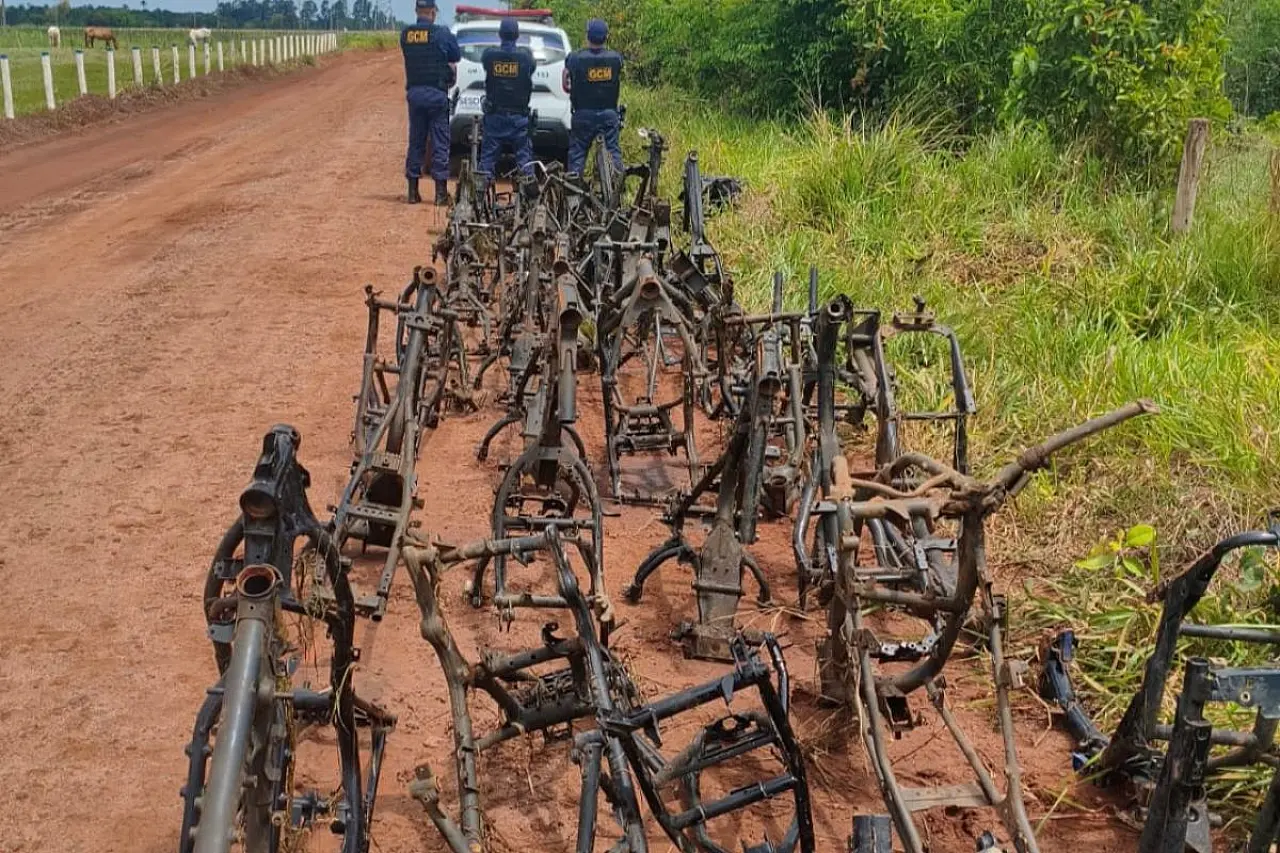 Mais de 120 quadros de motos são encontrados abandonados em área de mata