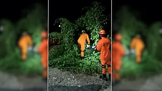 Temporal na madrugada derruba árvores e atinge carro em Corumbá e Ladário
